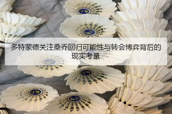 多特蒙德关注桑乔回归可能性与转会博弈背后的现实考量 - kaiyun